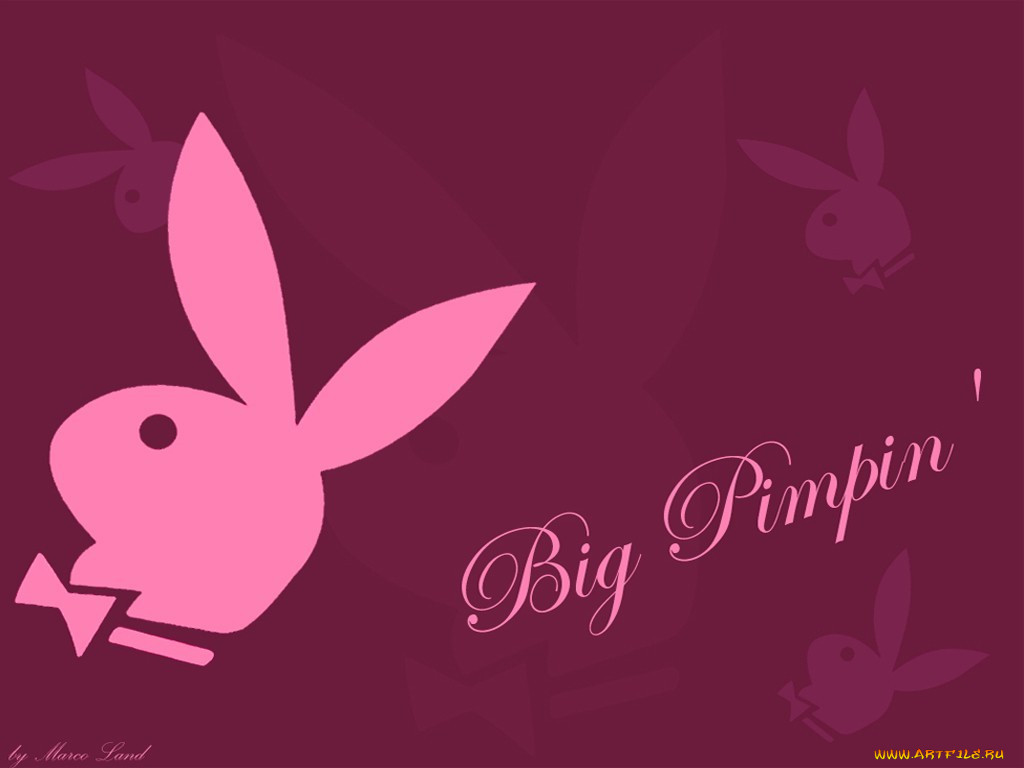 , playboy
